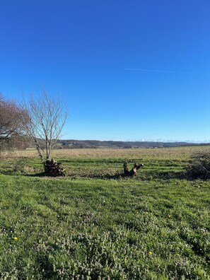 Photo non classée, 2 sur 16, bouton