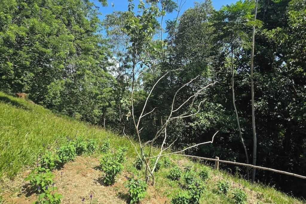 Áreas de la propiedad