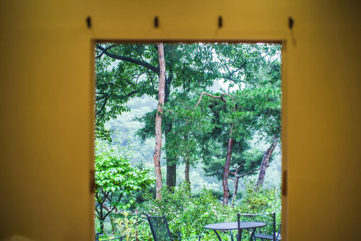 A window with a view of a forested area, a table, and chairs.