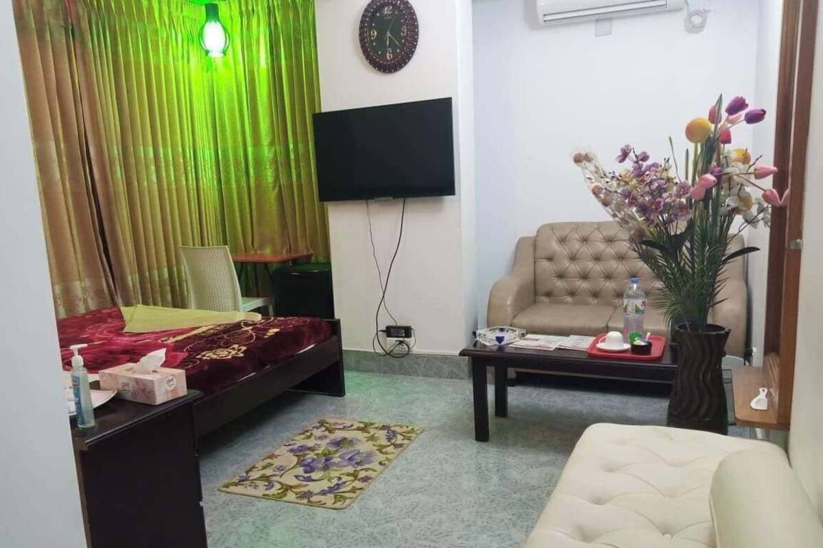 A living room with a sofa, a chair, a TV, a bed, a coffee table, and a decorative plant.