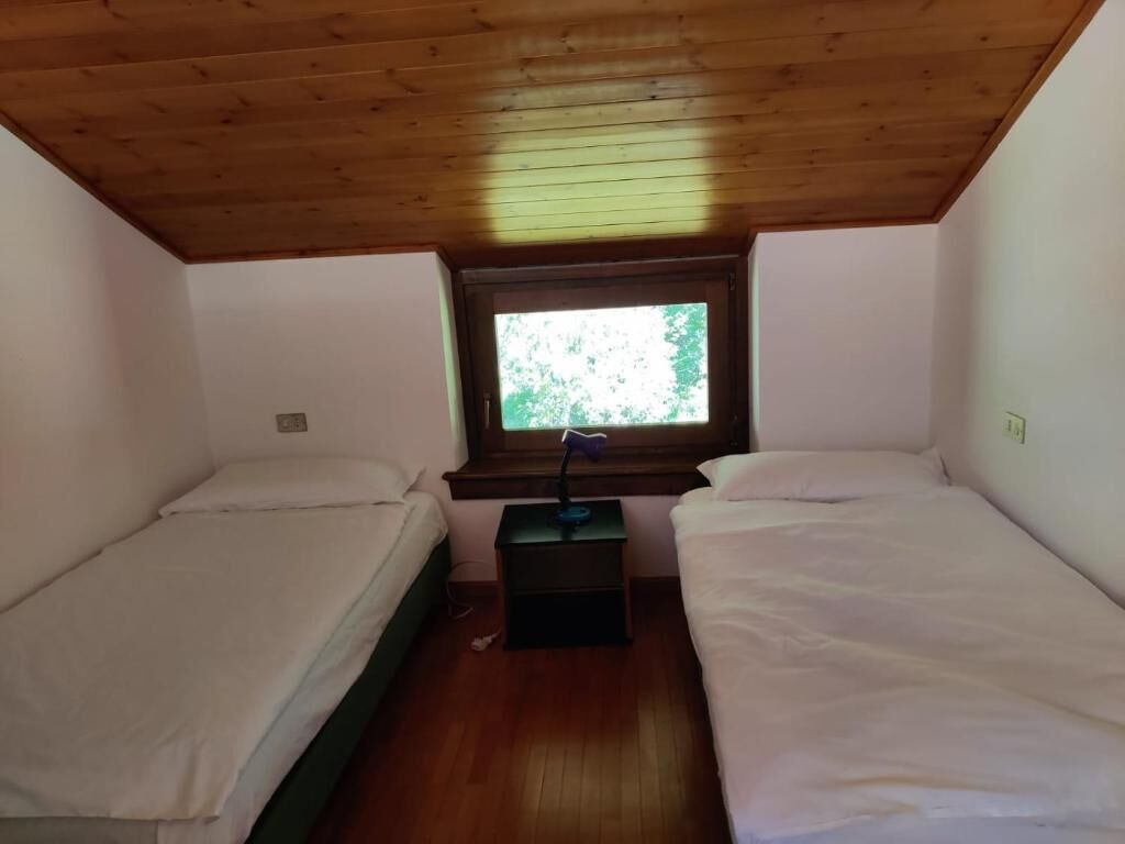 A small, single-room cabin with two single beds, a window with a view of greenery, and a wooden ceiling.