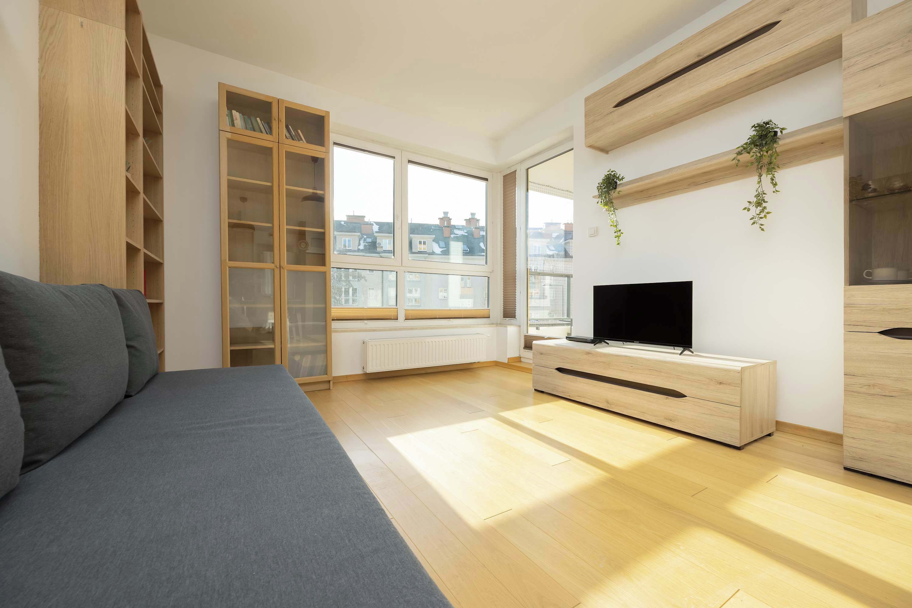 Fernseher, Arbeitsbereiche