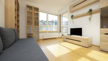 Fernseher, Arbeitsbereiche