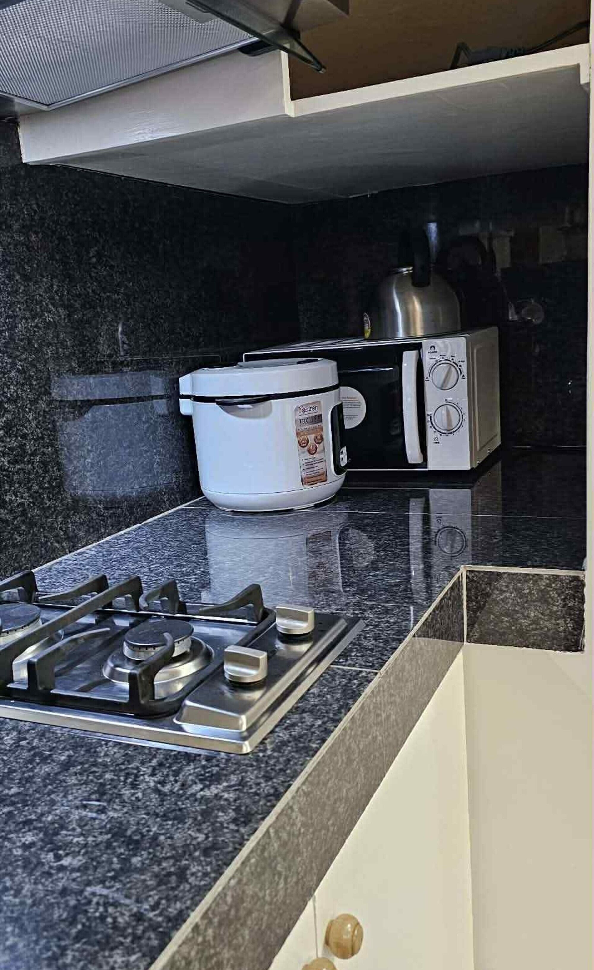 Family Condo, 2 Bedrooms, Balcony, Mountain View | Dapur peribadi | Peti sejuk, ketuhar gelombang mikro, dapur, mesin basuh pinggan mangkuk 