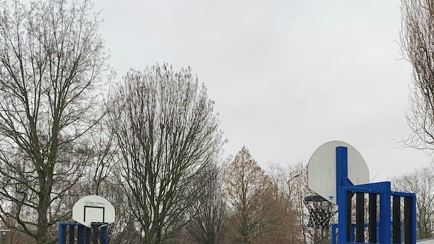 Een basketbalveld met blauwe en zwarte omheining, een basketbalring en een snelheidsbeperkingsbord.