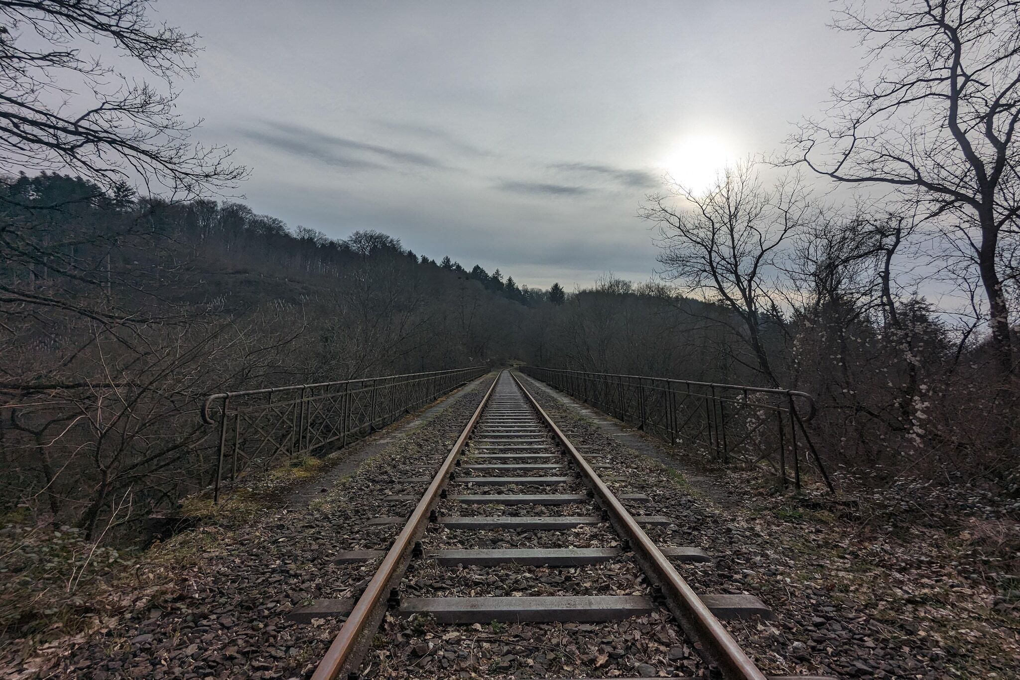 A railway track leading into a forested area with a metal railing on both sides.