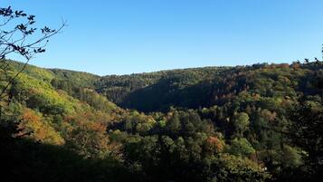 Paesaggio montuoso con fitta foresta.