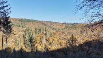 A forested landscape with a clear sky.