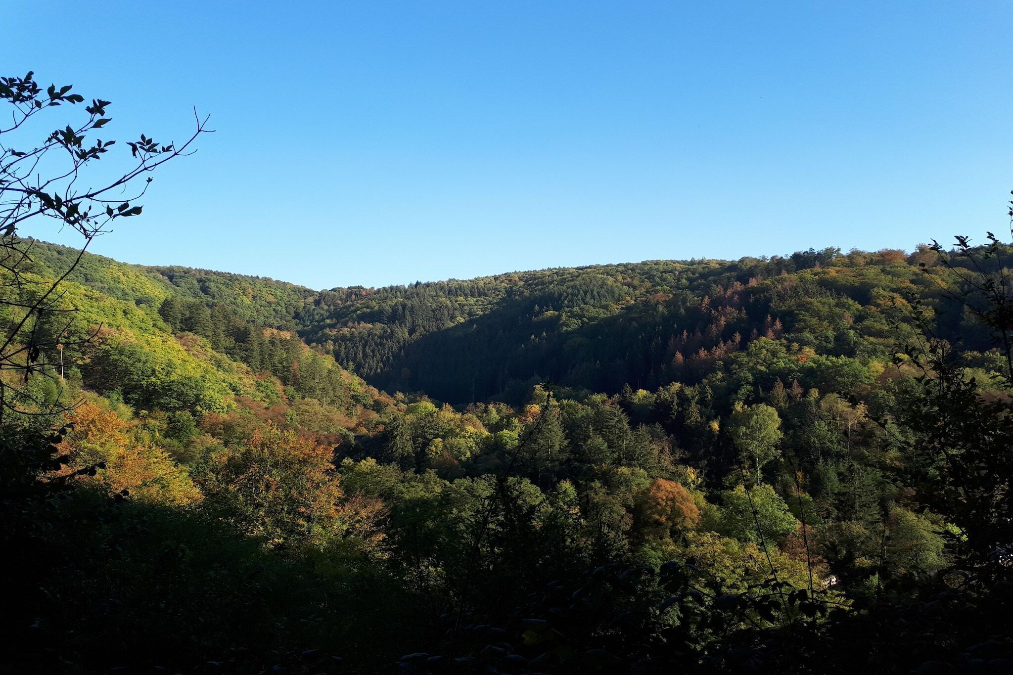 Paisagem montanhosa com floresta densa.