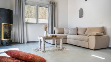 Televisión y chimenea