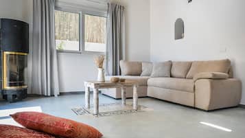 Televisión y chimenea