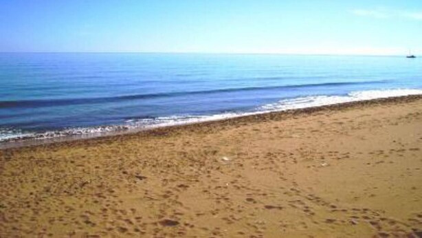 Une plage avec un ciel dégagé et une mer calme.