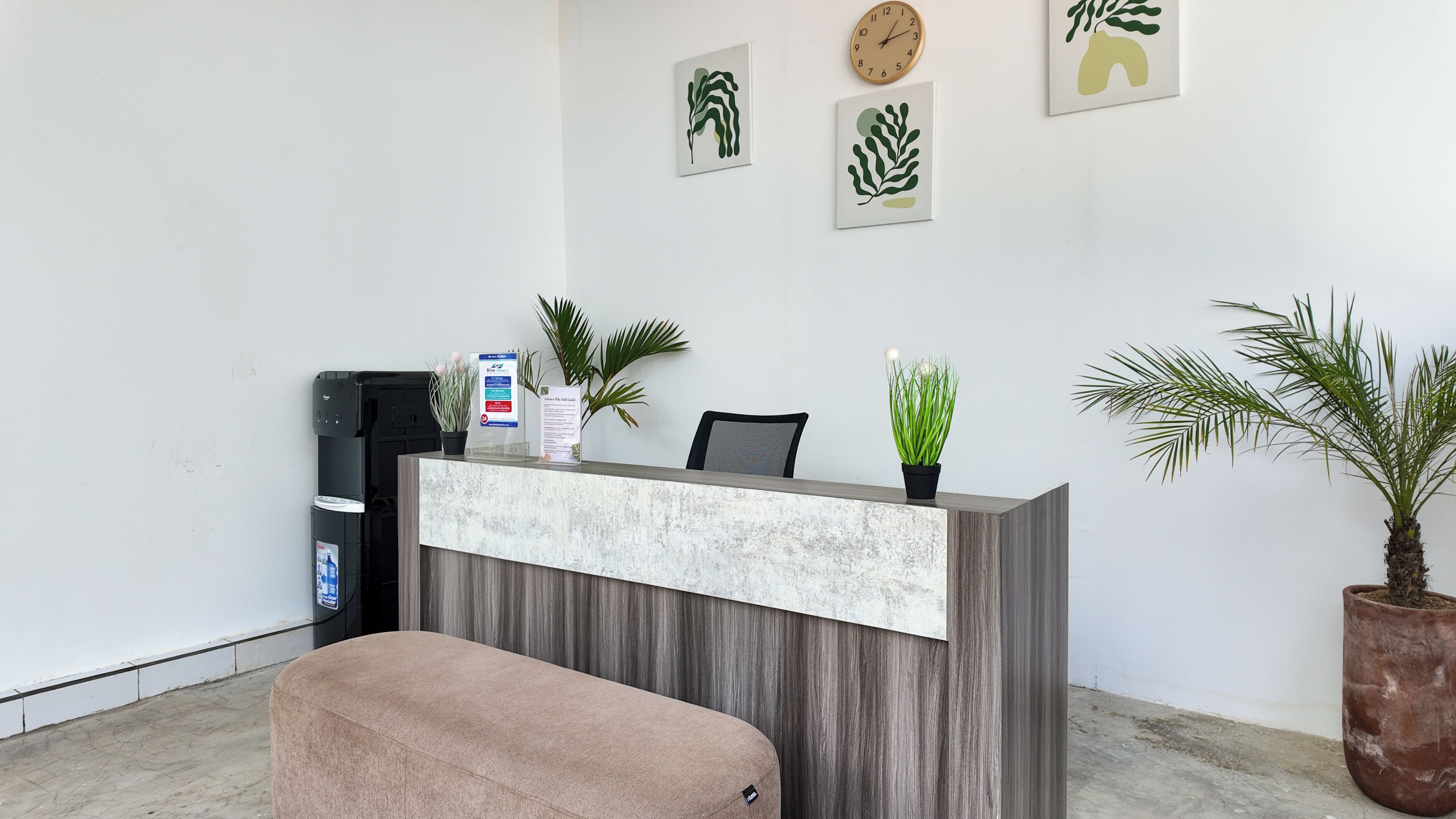 A reception desk with a coffee machine, a water dispenser, and a potted plant.