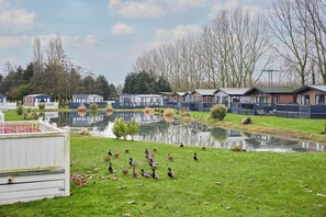 Property grounds - Host & Stay | Country Cabin Lodge (Pocklington)
