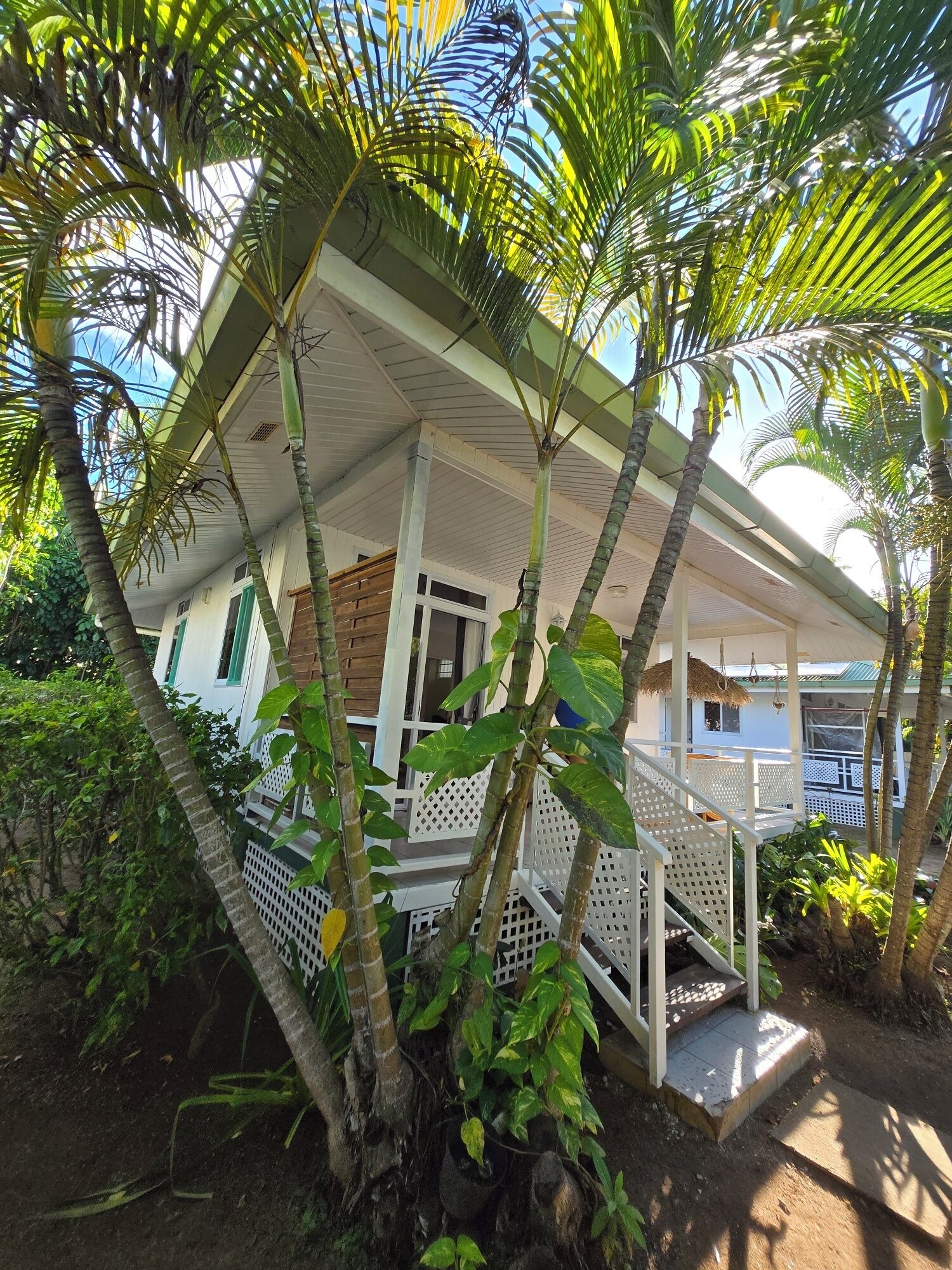 Ein Haus mit Veranda, umgeben von Palmen und Grünpflanzen.