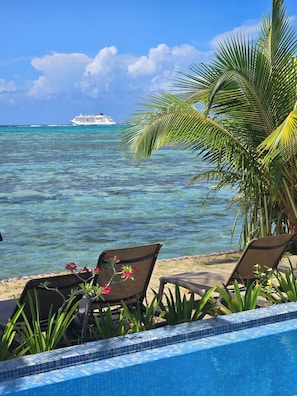 星評価なしの画像、4 / 41、ボタン