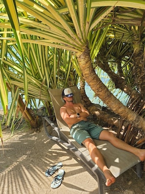 A person lying on a sun lounger under a palm tree.