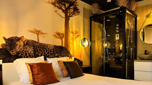 Camera d'albergo con un letto, una statua di leopardo, un armadio a muro e un bagno con uno specchio e un lavandino.