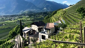 Un paisaje montañoso con viñedos en terrazas, un edificio moderno con techo inclinado y un camino sinuoso.