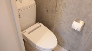 Secadora de cabello, toallas, papel de baño 