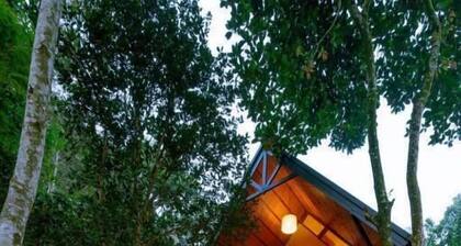 Casa Bella Resort Thekkady