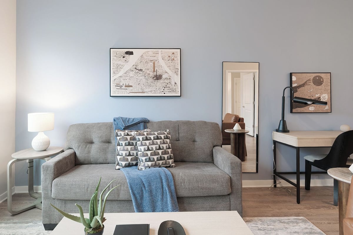 A modern living room with a grey sofa, patterned cushions, a blue throw, and a coffee table with a plant.