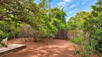 Un jardín con un sendero de tierra, varios árboles y una valla de mimbre.