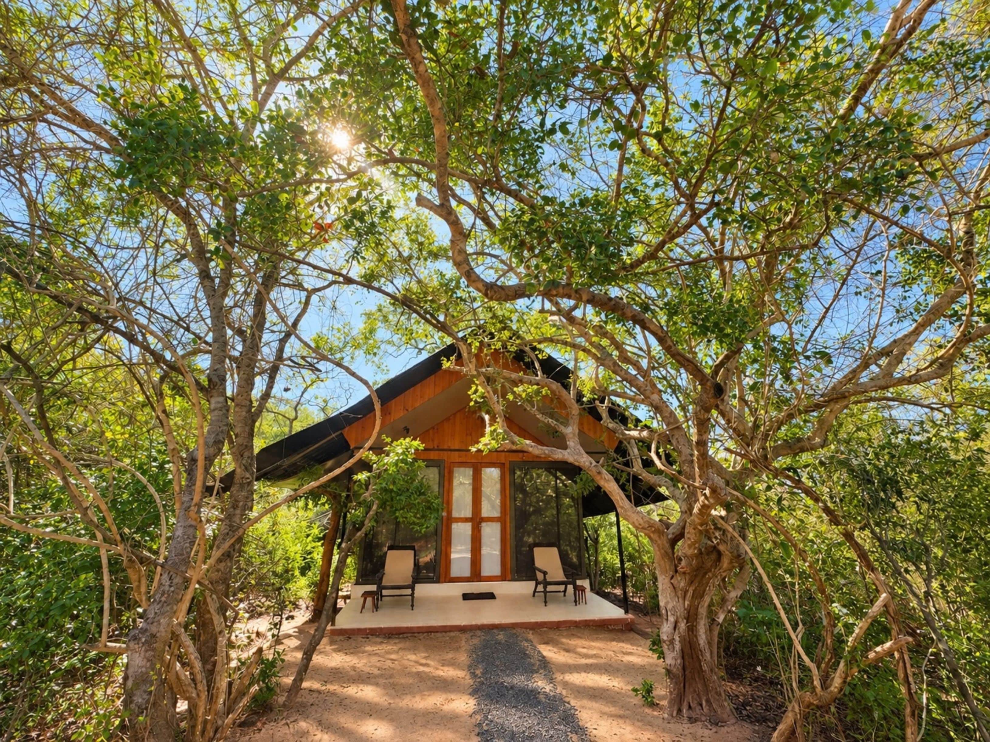 A secluded cabin with a covered porch, surrounded by dense foliage.