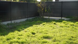 A grassy backyard with a small tree and a black fence. - Cosy house in the countryside. Pets welcome! (Faumont)