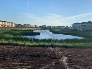Chambre, 1 chambre, vue océan | Extérieur