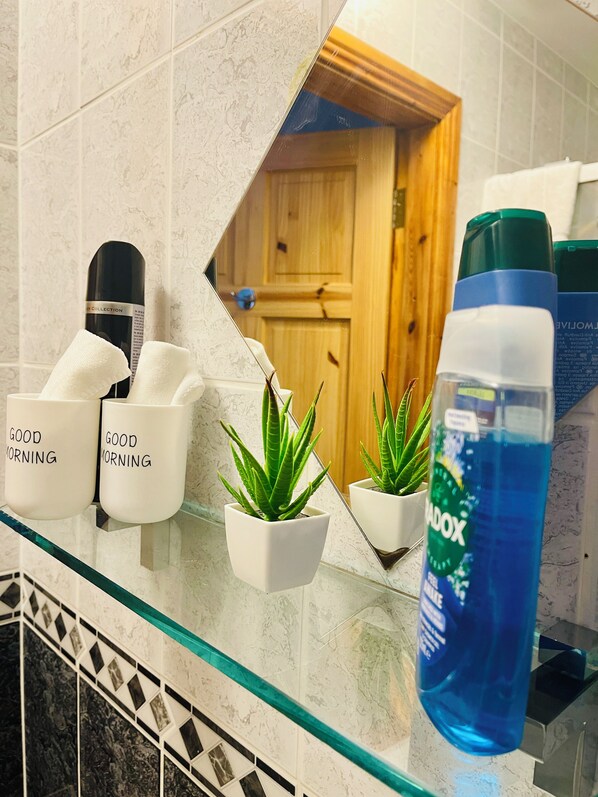A bathroom counter with toiletries, a mirror reflecting a wooden door, and a small potted plant. - Tinnies Guest House (Valentia Island)