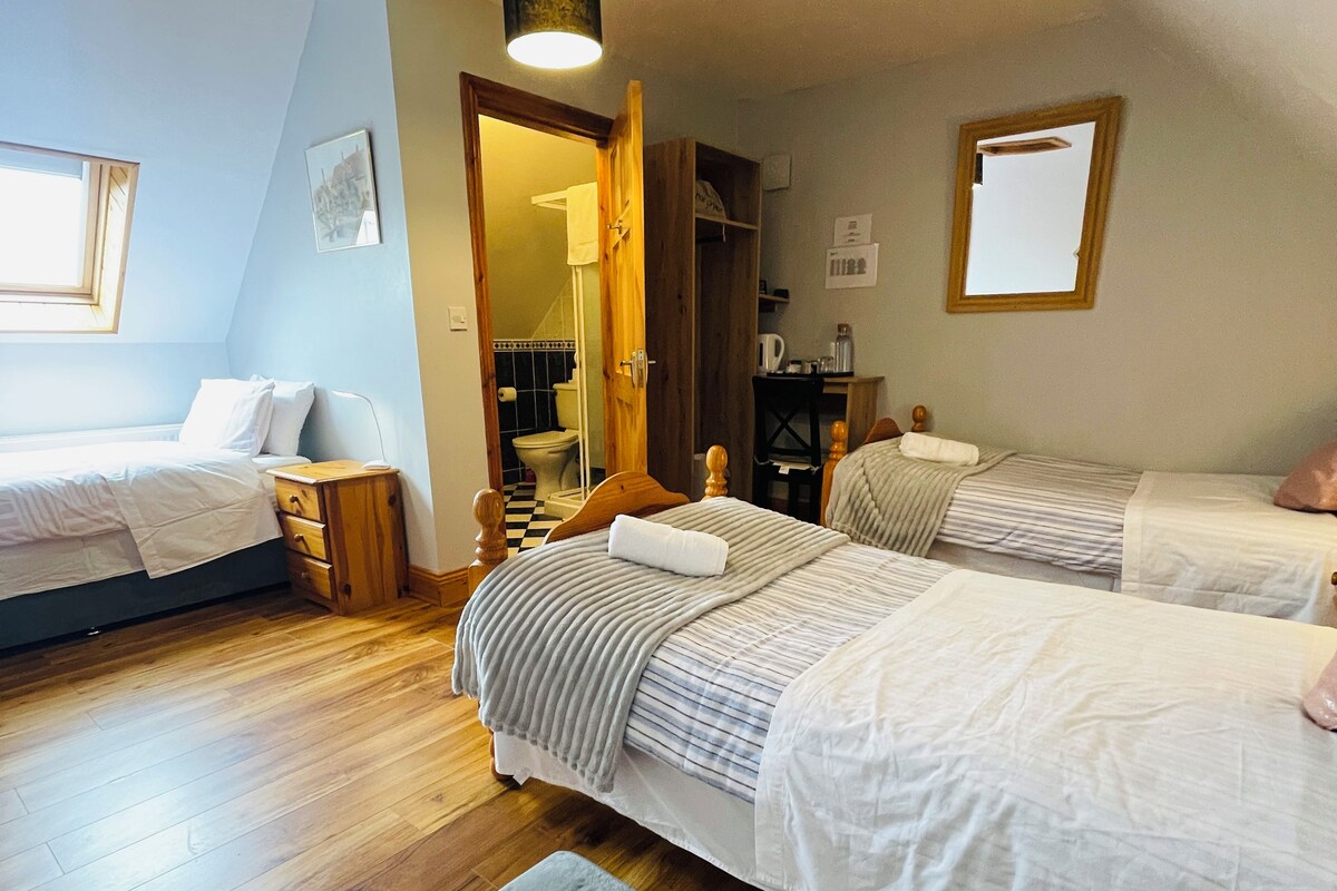 Deluxe Twin Room | Free WiFi, bed sheets
