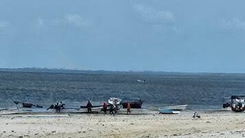 Apartment, 1 Bedroom, Accessible, Ocean View | Beach