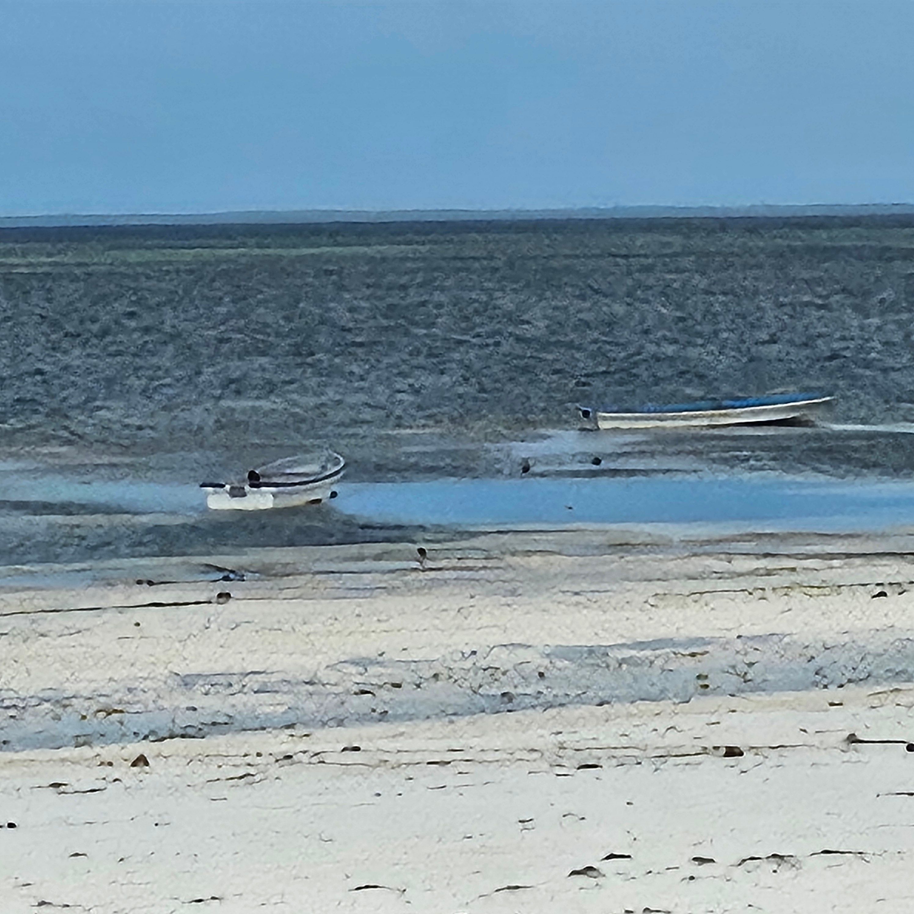 Apartment, 1 Bedroom, Accessible, Ocean View | Beach