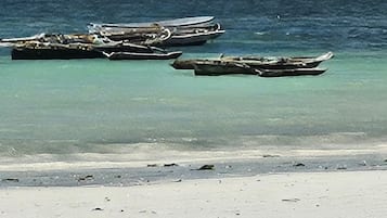 Apartemen, 1 kamar tidur, akses difabel, pemandangan samudra | Pantai