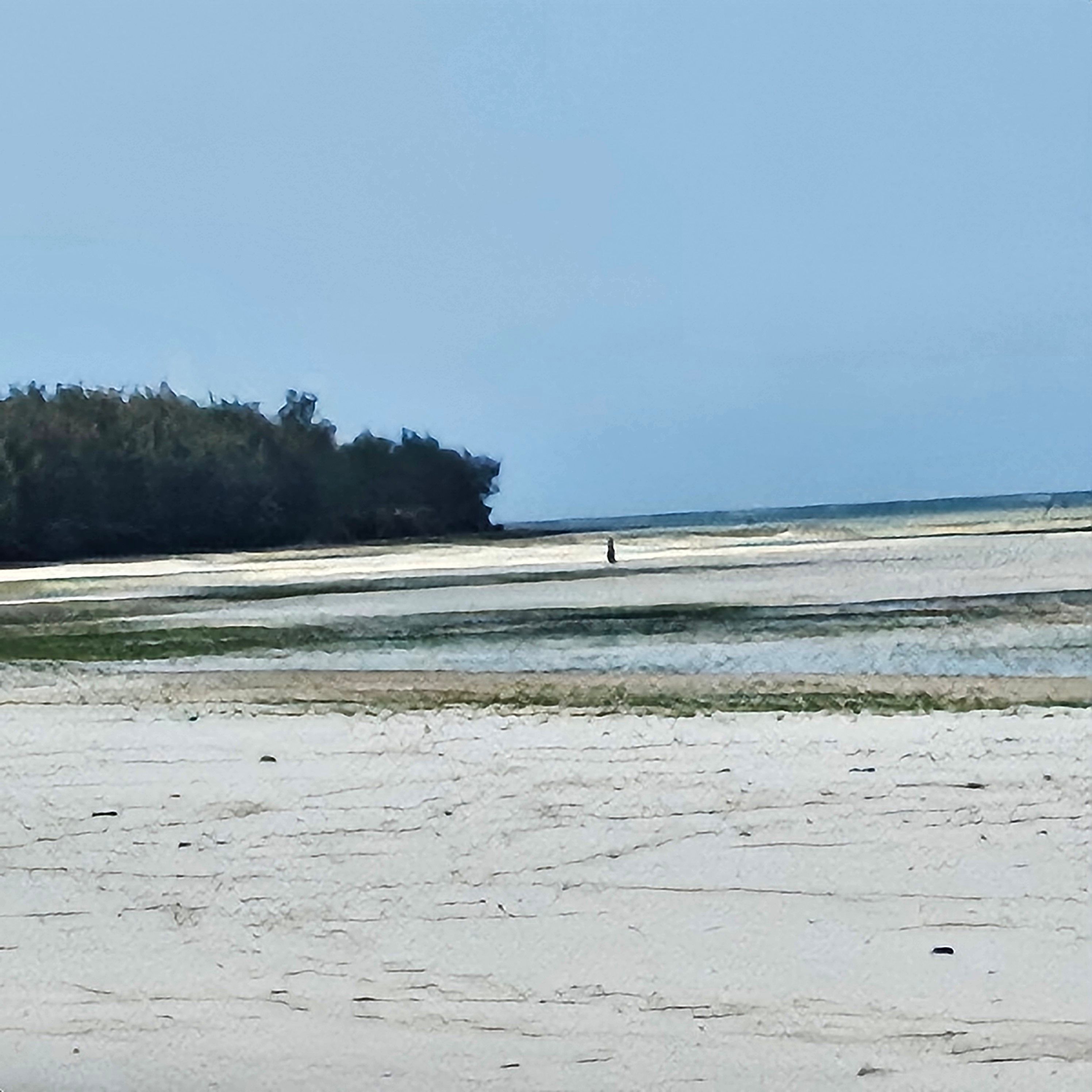 Bungalow, 1 kamar tidur, akses difabel, pemandangan samudra | Pantai