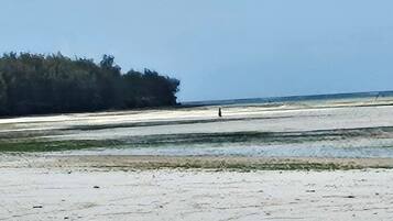 Bungalow, 1 kamar tidur, akses difabel, pemandangan samudra | Pantai