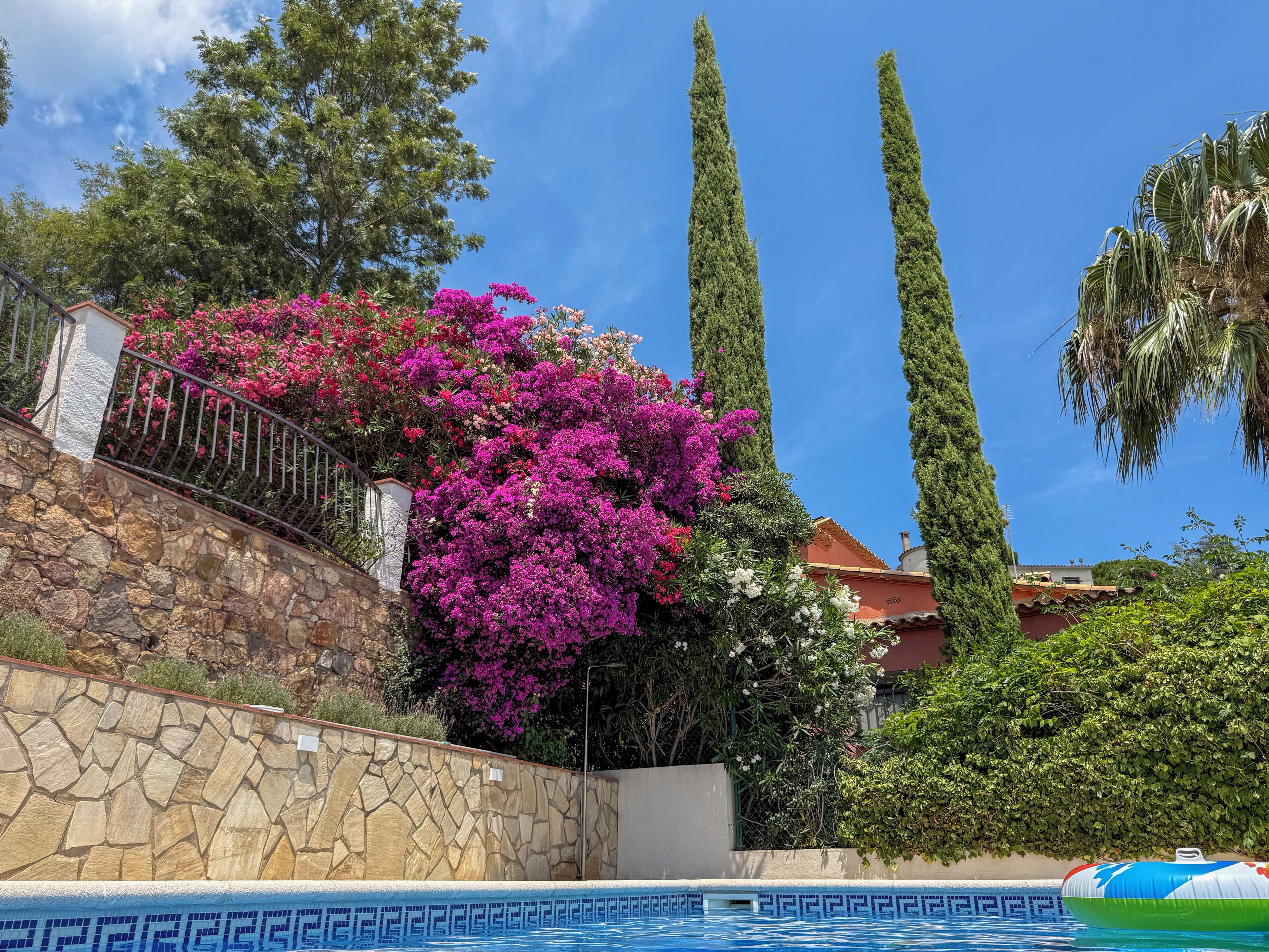 Una piscina con pared de piedra y barandilla metálica, rodeada de abundante vegetación y altos cipreses.