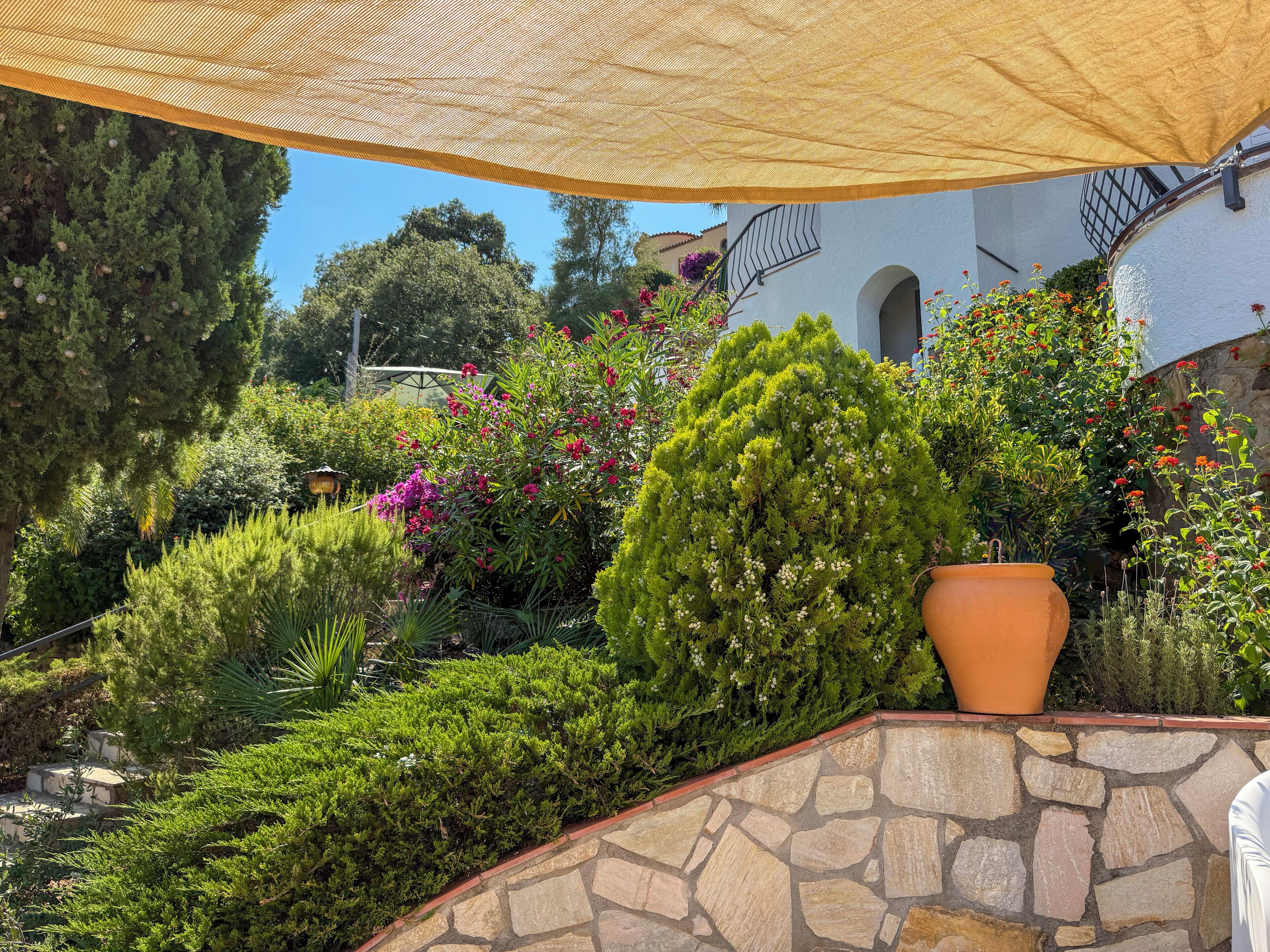 Un jardin avec différentes sortes de plantes et un grand pot en terre cuite.