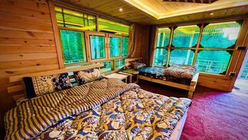 Double Room, Mountain View