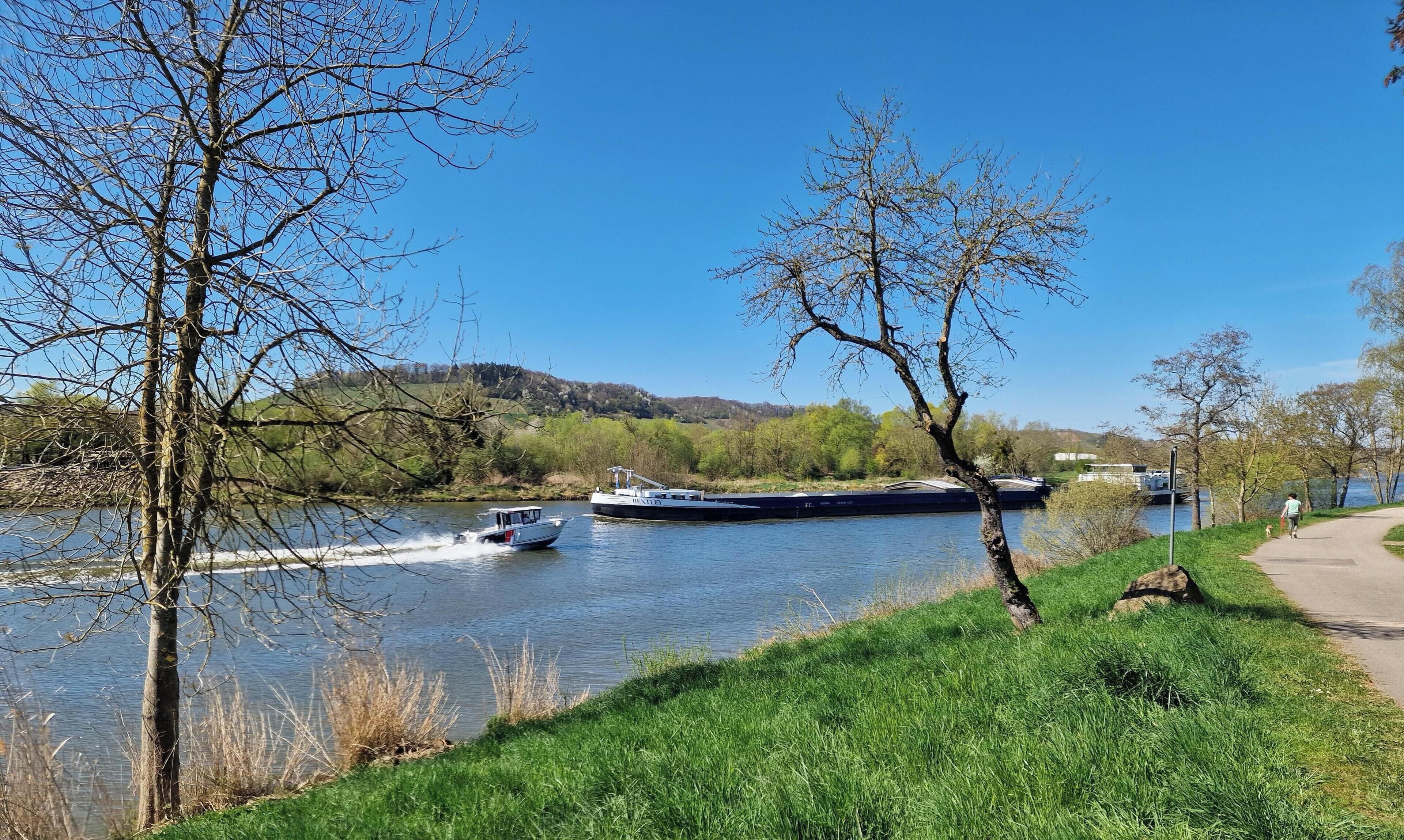 A river with boats, a grassy bank, and trees.