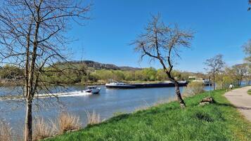 A river with boats, a grassy bank, and trees.