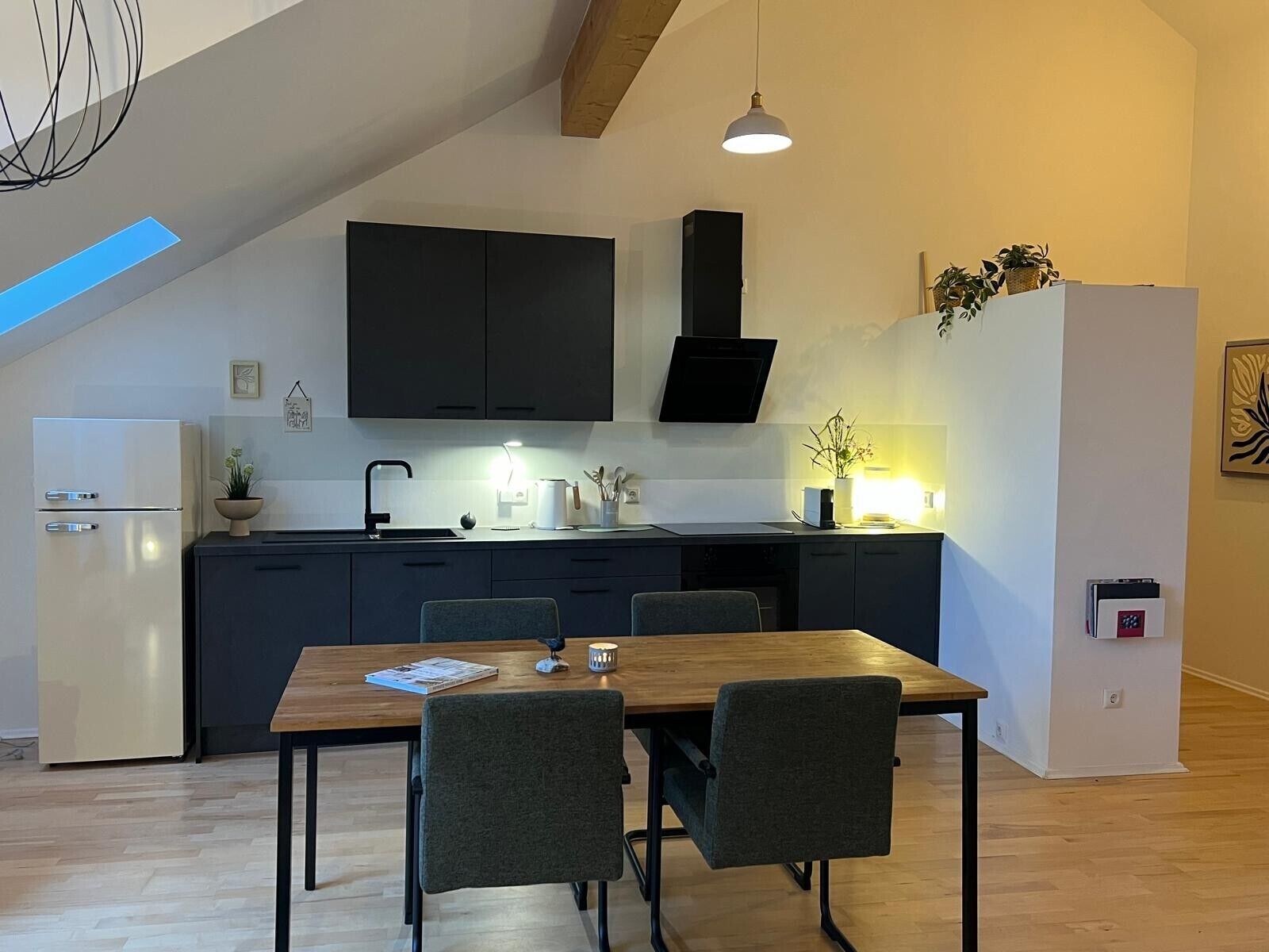 Kühlschrank, Ofen, Herdplatte, Geschirrspüler