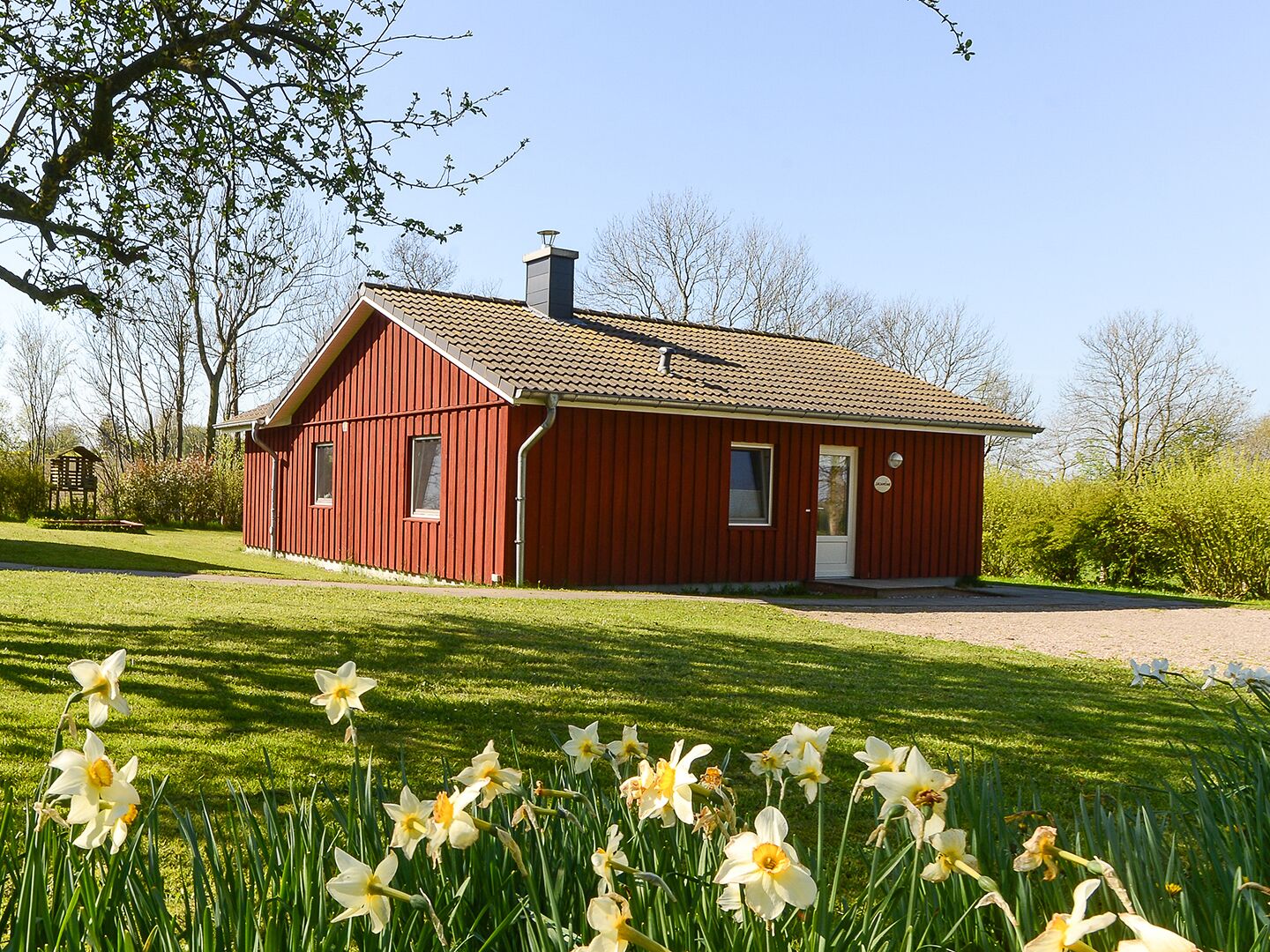 A red wooden house with a tiled roof, surrounded by a well-maintained lawn and daffodils.