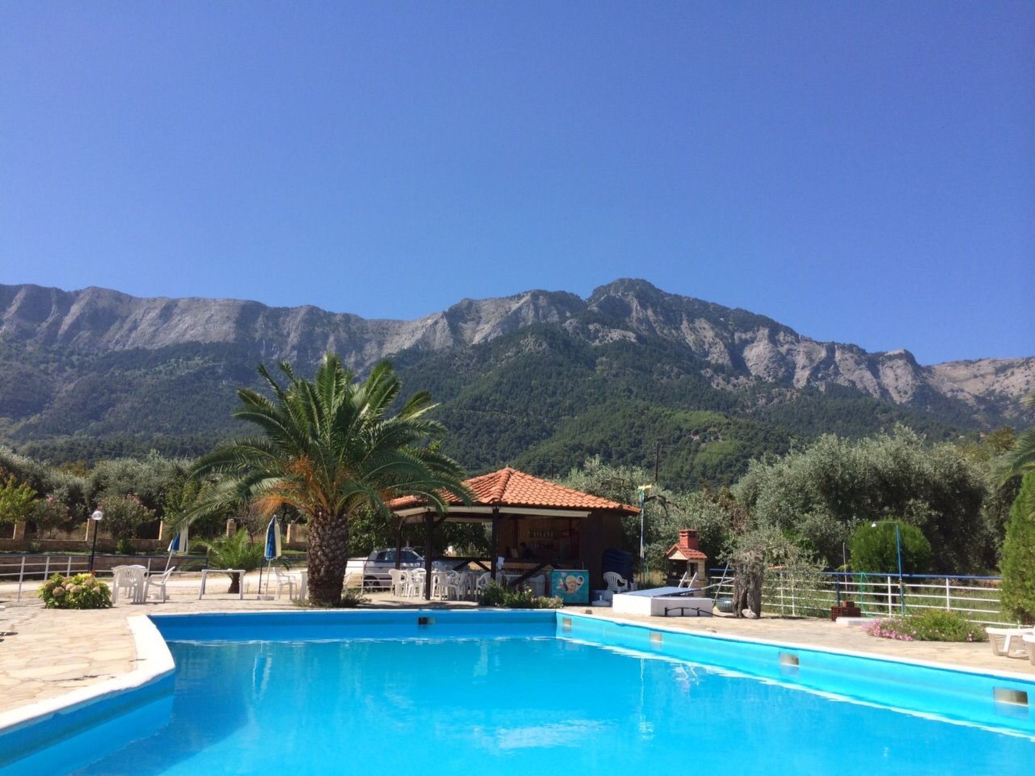 Une piscine avec une vue sur les montagnes, entourée de palmiers et bordée d’un petit bâtiment doté d’un toit rouge.