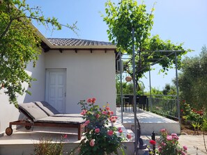 Terassi/patio