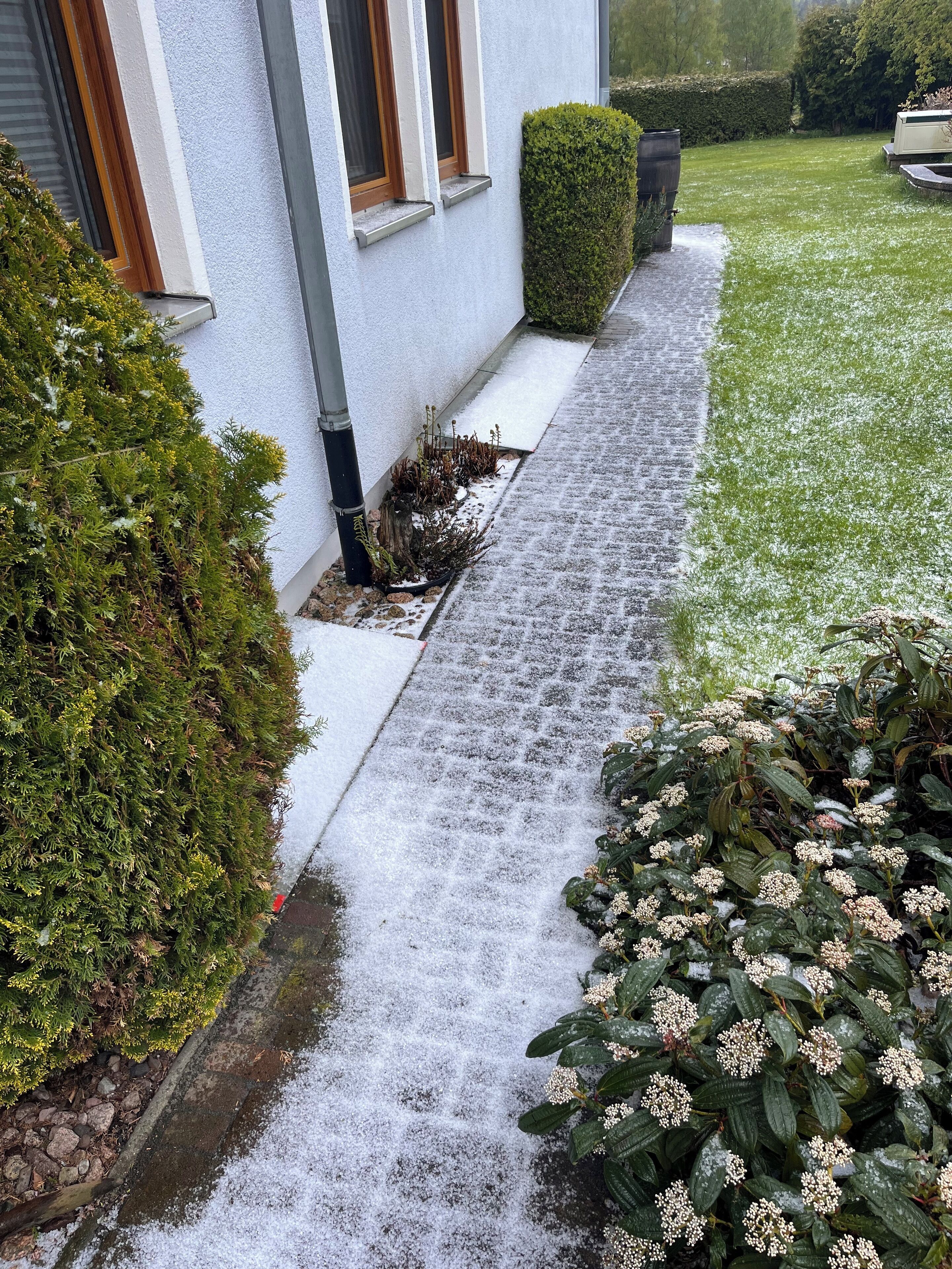 Terrain de l’hébergement 