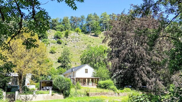 Ein Haus am Flussufer mit einem Steinweg, umgeben von Grünpflanzen und Bäumen.