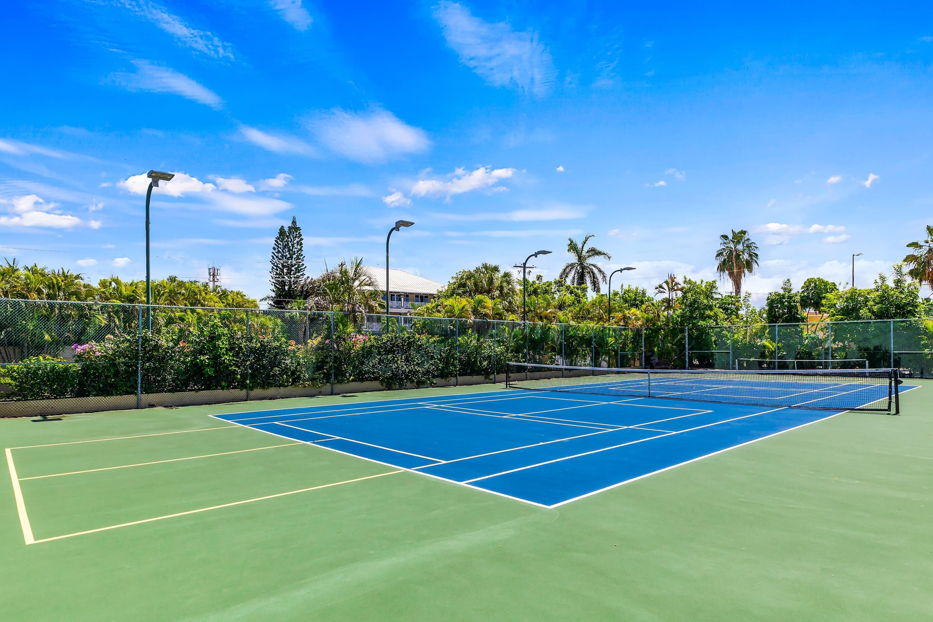 Cancha de tenis exterior con red, rodeada de follaje y un cielo azul despejado.