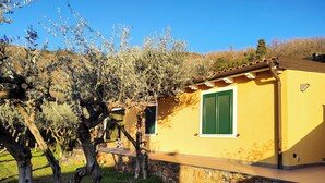 Un edificio amarillo con base de piedra, una ventana verde y un árbol en primer plano.